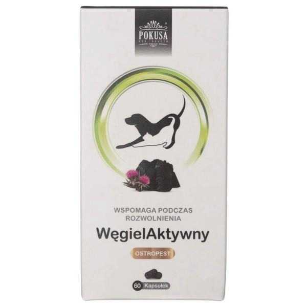 Ile węgla dla psa? Bezpieczna dawka i sposób podania