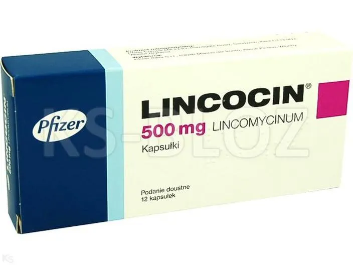 Lincocin u świń i kur: dawkowanie, karencja i błędy, których warto uniknąć