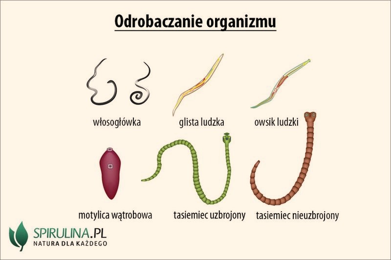 Objawy po odrobaczaniu – co jest normalne, a kiedy reagować?