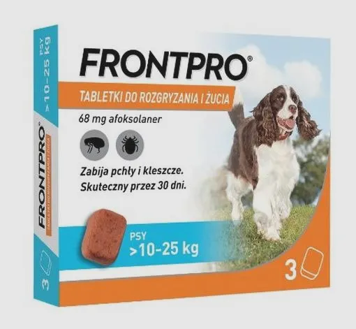 Odrobaczanie psa: na czczo czy po jedzeniu? Zasady bezpiecznego podania