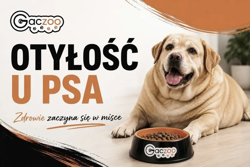 Zapotrzebowanie kaloryczne psa – tabela porcji i prosty sposób wyliczenia