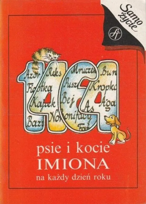 Imię dla kota według osobowości