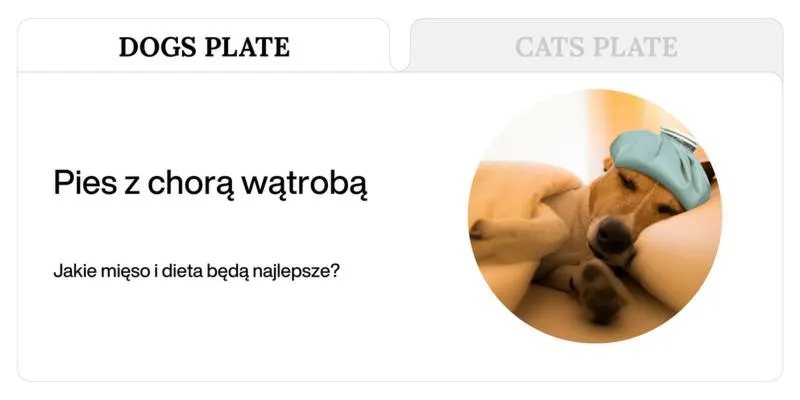Mięso dla psa
