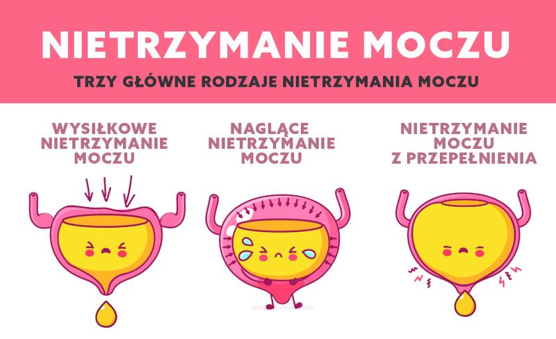 Objawy nietrzymania moczu u psa