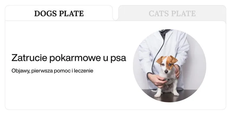Objawy zatrucia u psa