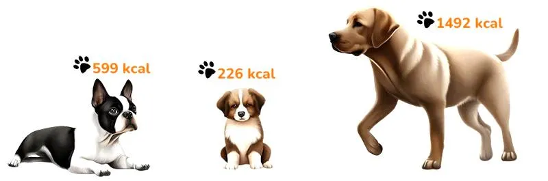 Obliczanie zapotrzebowania kalorycznego
