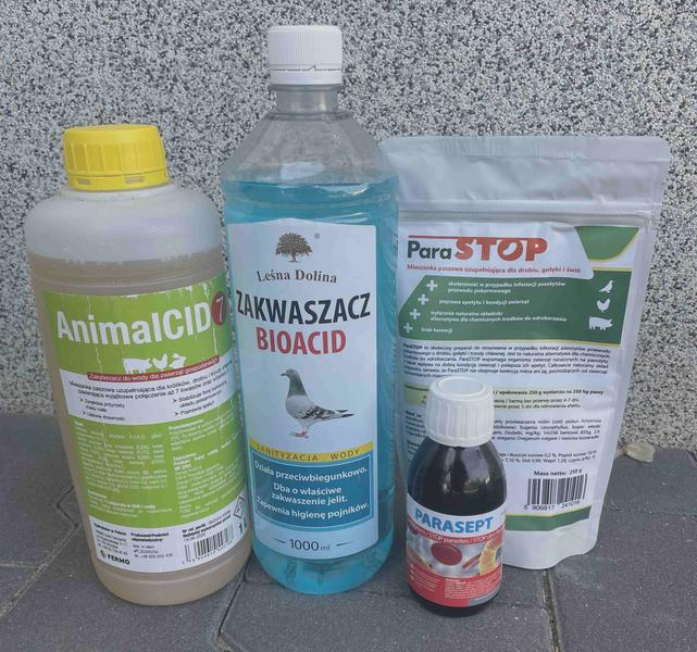 Odrobaczanie gołębi