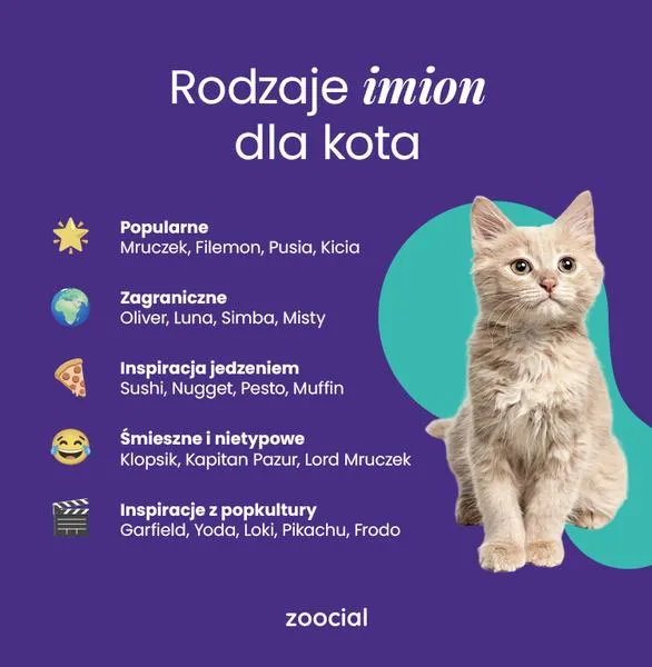 Oryginalne imiona dla kotów