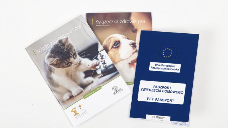Paszport dla psa
