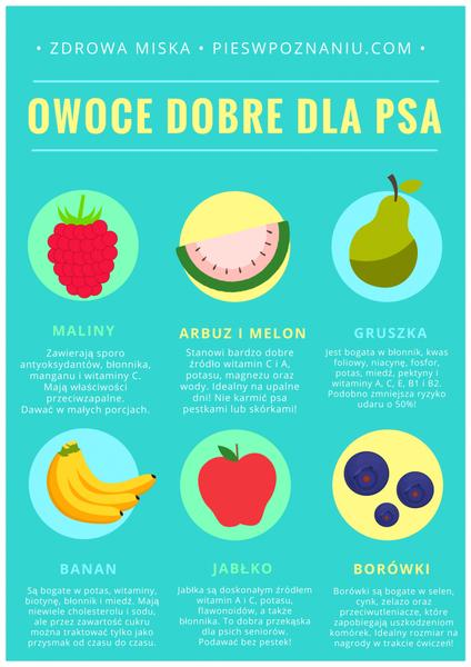 Prawidłowe podawanie owoców psu