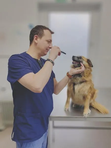 Profilaktyka w opiece weterynaryjnej