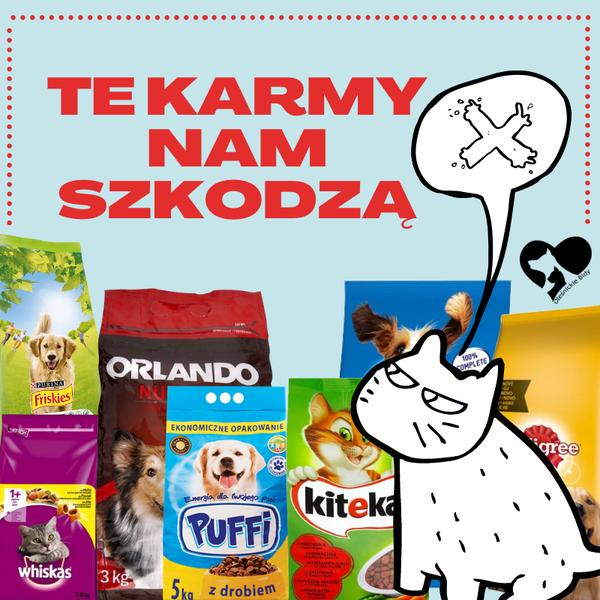 Skład karmy dla psa