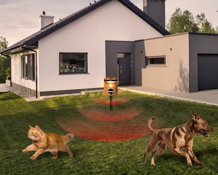 Skuteczne metody odstraszania kotów
