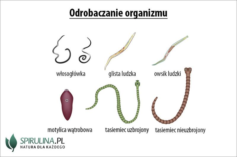 Skutki spożywania cukru przy odrobaczaniu