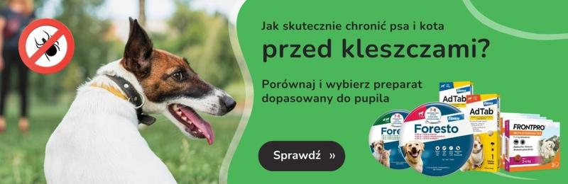 Versican Plus dla psa