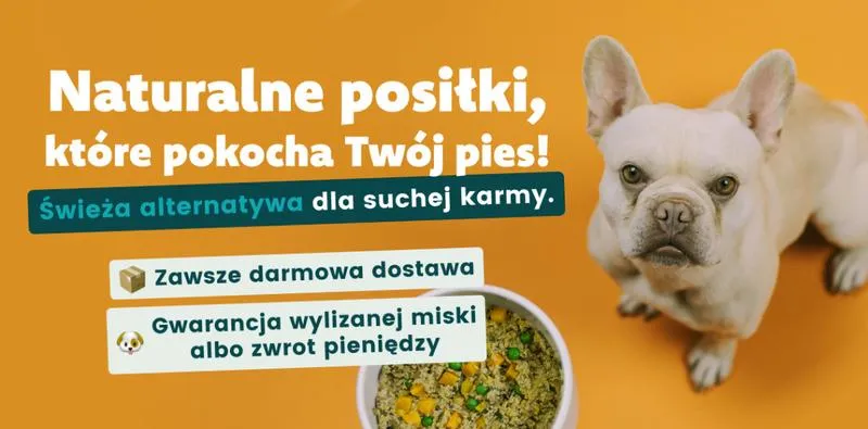 Zapotrzebowanie kaloryczne psa